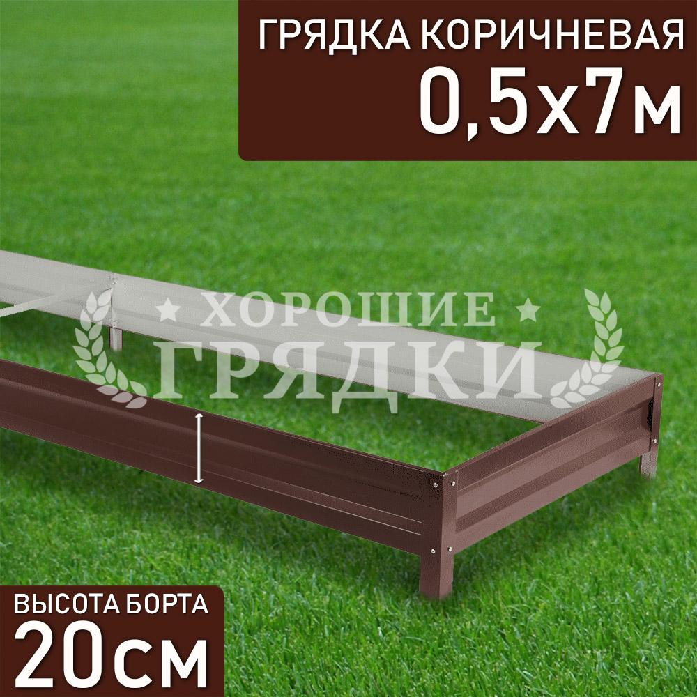 Коричневая-20-05-7